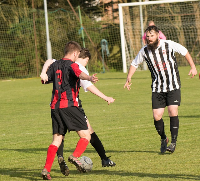 石雪清谈邵佳一出任国足主帅：带队成绩估摸不会有佳也不会有一